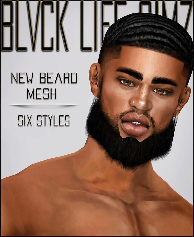 Blvk Life Simz | Beard Pack