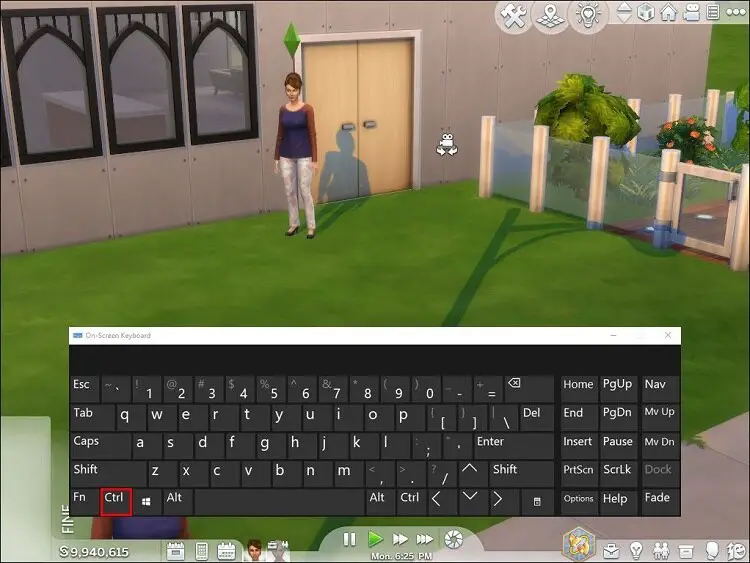 Basic PC Controls Sims 4