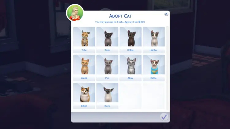 Then choose a dog or a cat to adopt.